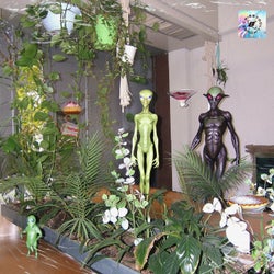 Alien's Dessert