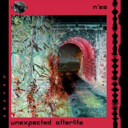 Unexpected Afterlife