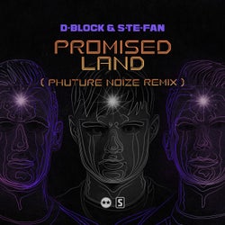 Promised Land - Phuture Noize Remix