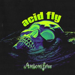 Acid Fly