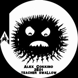 Teacher Swallow