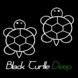 Black Turtle Deep chart