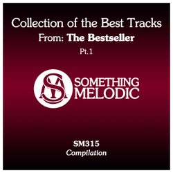 Collection of the Best Tracks From: The Bestseller, Pt. 1