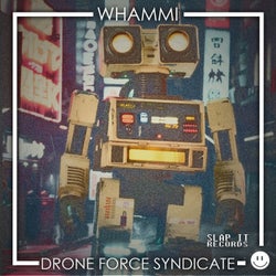 Drone Force Syndicate