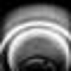 White Noise Carousel & Synox Remixes