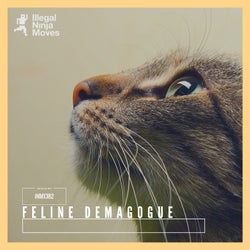Feline Demagogue