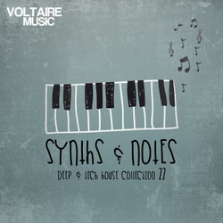 Synths And Notes 22