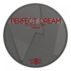 Perfect Dream - Single