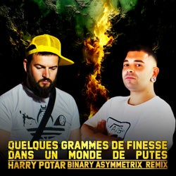 Quelques Grammes de finesse dans un monde de putes (Binary Asymmetrix Remix)