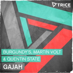 Martin Volt & Quentin State "Gajah" Chart