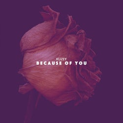 Because of You