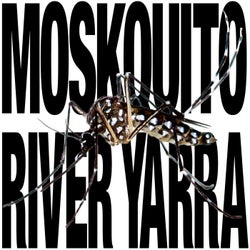 Moskquito