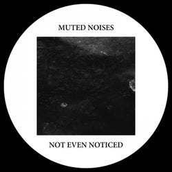 Muted Noises