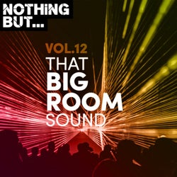 Nothing But... That Big Room Sound, Vol. 12