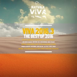 Viva 2016.3