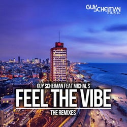 Feel the Vibe the Remixes (feat. Michal S)