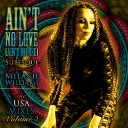Ain't No Love (Ain't No Use) (The USA Remixes, Vol. 2)