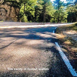The Vanity Of Human Wishes