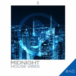 Midnight House Vibes, Volume 45