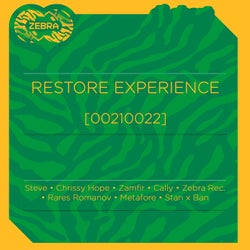 Restore Experience (00210022)