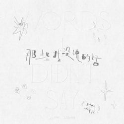 那些我沒說的話