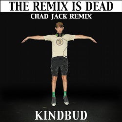 The Remix Is Dead (Chad Jack Remix)
