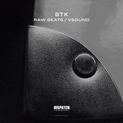 Raw Beats / VSound