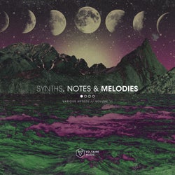 Synths, Notes & Melodies Vol. 11