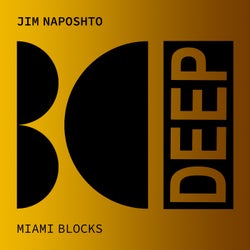 Miami Blocks