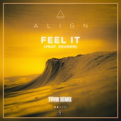 Feel It (TVVIN Remix) (feat. SOUNDR)