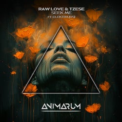 Seek Me (Extended Mix)