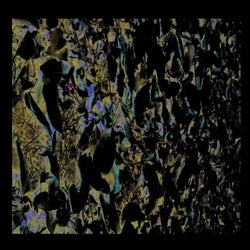 Ruin