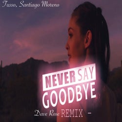 Never Say Goodbye (Dave Rose Remix)
