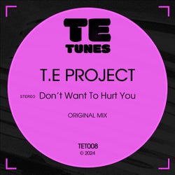 Don't Want To Hurt You (Original Mix)