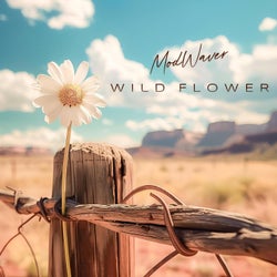 Wild Flower