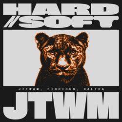 HARD N SOFT