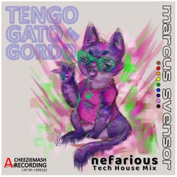 Tengo un Gato Gordo - Nefarious Tech House Mix