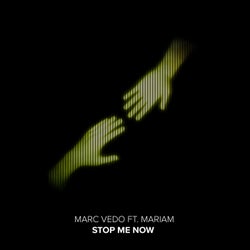 Stop Me Now (feat. MariaM) (Extended Mix)