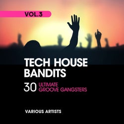 Tech House Bandits (30 Ultimate Groove Gangsters), Vol. 3