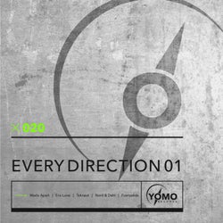 Every Direction 01