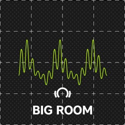 Biggest Basslines: Big Room