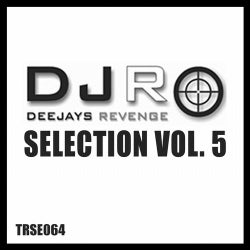 DJs Revenge Selection Volume 05