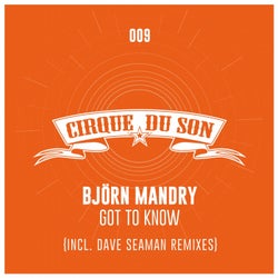 Got to Know (Incl. Dave Seaman Remixes)