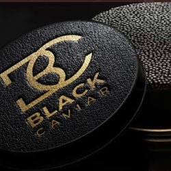 Black Caviar Top 10