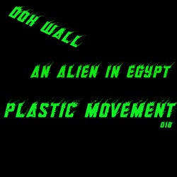 An Alien in Egypt