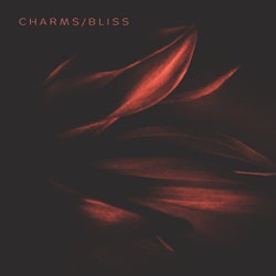 Charms / Bliss