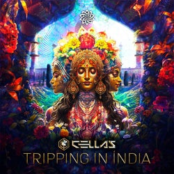 Tripping In Índia