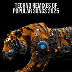 Techno Remixes of Popular Songs 2025