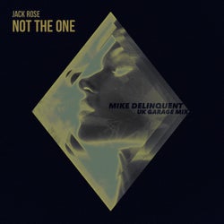 Not The One (Mike Delinquent UK Garage Remix)