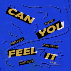Can You Feel It (feat. James Hurr) (VIP Mix)